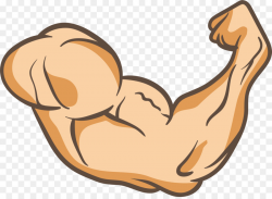 Arms Thumb Muscle Clip art - A powerful arm png download - 2359*1711 ...