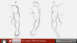 Shoulder Drawing at GetDrawings.com | Free for personal use Shoulder ...