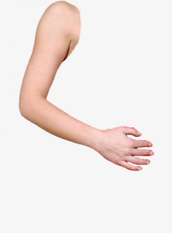 Arm Design, Arm, Finger, Limb PNG Image and Clipart for Free Download