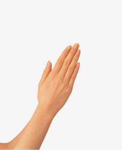 One Slap, Arm, A Slap, Finger PNG Image and Clipart for Free Download