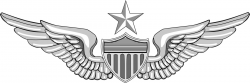 U.S. Army Clip Art - Qualification Badges
