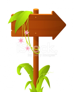 Wooden Signboard Arrow With Tropical Plants Decoration Stock Vector ...