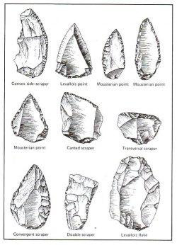 the different arrow/spearheads of the ages | Beautiful-NATIVES ...