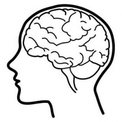 Lovely Of Brain In Head Clipart - Letter Master