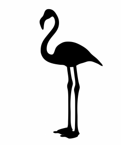 Flamingo Silhouette Clipart Free Stock Photo - Public Domain Pictures