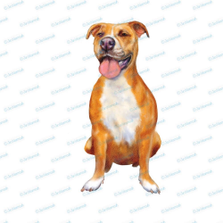 Pitbull clipart, dog clipart instant download. Digital watercolor ...