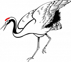 Chinese Crane Drawing at GetDrawings.com | Free for personal use ...