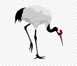 Red-crowned crane Bird Heron Clip art - Free Stork Clipart png ...