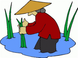 Similiar Chinese Rice Farmer Clip Art Keywords
