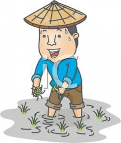 An Asian Farmer Working In a Rice Field - Royalty Free Clipart Picture