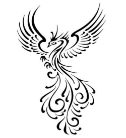 58 best Pheonix images on Pinterest | Drawing ideas, Drawing ...