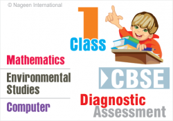 Diagnostic Assessment | School Of Educators