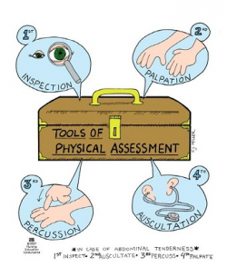 Physical Assessment Memorization Tricks | Nursessity