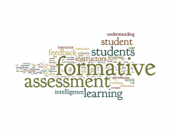 The Power of Formative Assessment in Shaping Mindsets | OCM BOCES ...