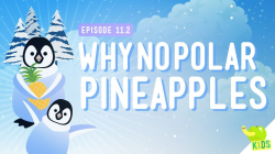 Why No Polar Pineapples: Crash Course Kids #11.2 | Astronomy (April ...
