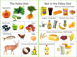 An Athlete's Guide to the Paleo Diet — Volt Blog