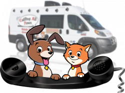 Calling All Paws | Mobile Pet Grooming