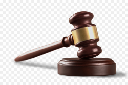 Lawyer Gavel Lawsuit Criminal law - auction png download - 1500*1000 ...