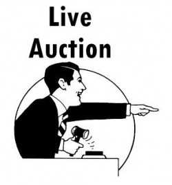 2016 Rotary Auction Announcement | Rotary Club of Athabasca