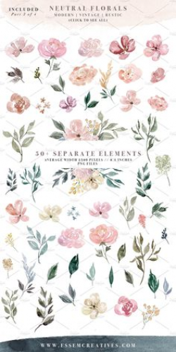 Neutral Watercolor Flowers Clipart, Floral Borders & Frames for ...