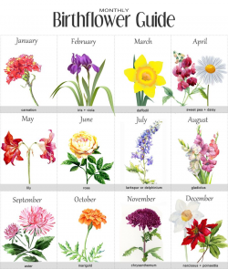 birth month flowers | Body Art | Pinterest | Birth month flowers ...