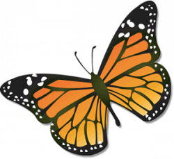 Ward 4 BBQ and Monarch Butterfly Festival - Save the Date ...