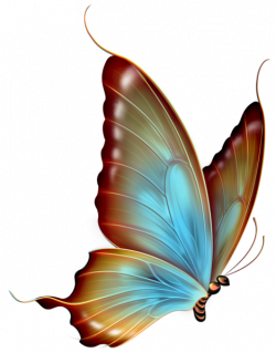 Brown and Blue Transparent Butterfly Clipart | Butterflies ...
