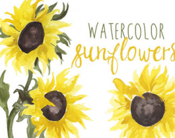 Hello August Clipart Sunflower Fashion Clipart Handpainted