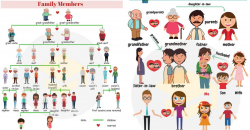Family Relationship Chart: Useful Family Tree Chart with ...
