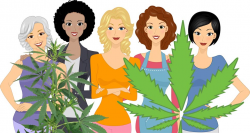 WomenCann cannabusiness network expands - The Leaf Online