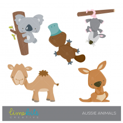 Cute Australian Animals Clipart Australia Animal Pencil And In Color ...