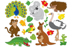 Vector Australian Animals Set ~ Illustrations ~ Creative Market