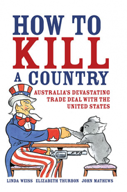 How to Kill a Country - Linda Weiss Elizabeth Thurbon John Mathews ...