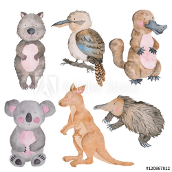Australian animals watercolor Hand-painted illustration Isolated ...