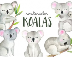 Koala art | Etsy