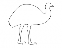 outline drawings of australian animals - Incep.imagine-ex.co