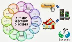 Genesis Eco Fund for Advanced Human Habitat: Give Kids with Autism ...