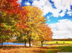 Autumn Trees Clipart HD Wallpaper, Background Images