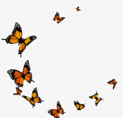 Butterfly Fly, Yellow, Butterfly, Frame PNG Image and Clipart for ...