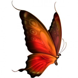 225 best ~BUTTERFLIES~ images on Pinterest | Butterflies, Background ...