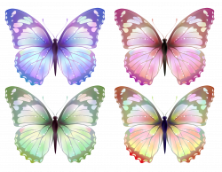 Transparent Butterfly PNG Clipart | Gallery Yopriceville - High ...