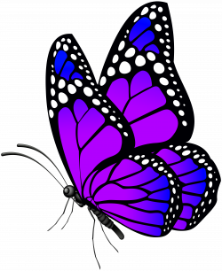 Butterfly Purple PNG Clip Art Image | Gallery Yopriceville - High ...