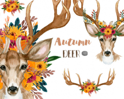 Autumn Deer and Floral Antlers Fall Clip Art Watercolor