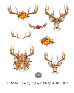 Autumn Deer and Floral Antlers, Fall Clip Art, Watercolor Deer ...