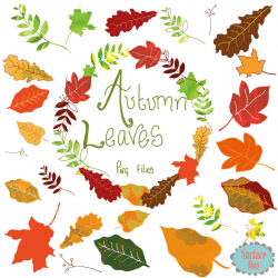 Leaf Clipart AUTUMN LEAVES clip art Leaf clip art Autumn clip