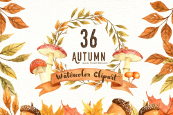 Autumn Leaf Watercolor Clipart ~ Illustrations ~ Creative Market