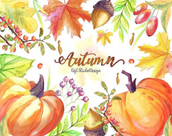 Watercolor autumn clipart fall pumpkin maple separate element