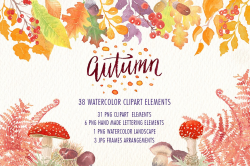 Autumn graphic collection ~ Illustrations ~ Creative Market