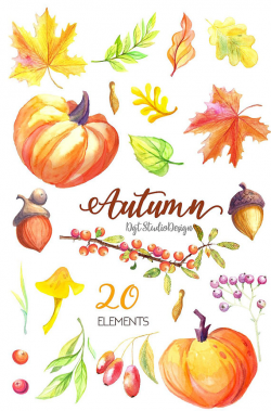 Watercolor autumn clipart fall pumpkin maple separate element