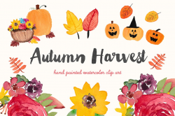 Autumn Harvest Watercolor Clip Art ~ Illustrations ~ Creative Market